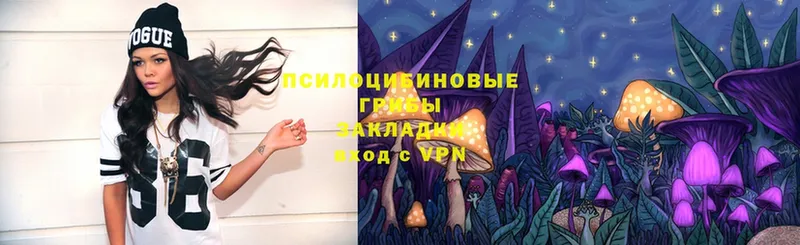 Псилоцибиновые грибы Magic Shrooms  omg как войти  Серафимович 